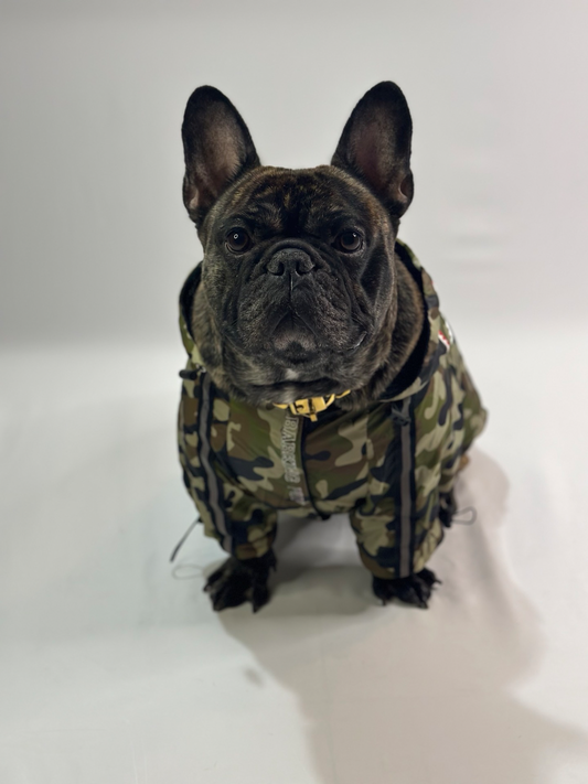 A Bathing Pup Paws Jacket - Designer Inspired Dog Jacket