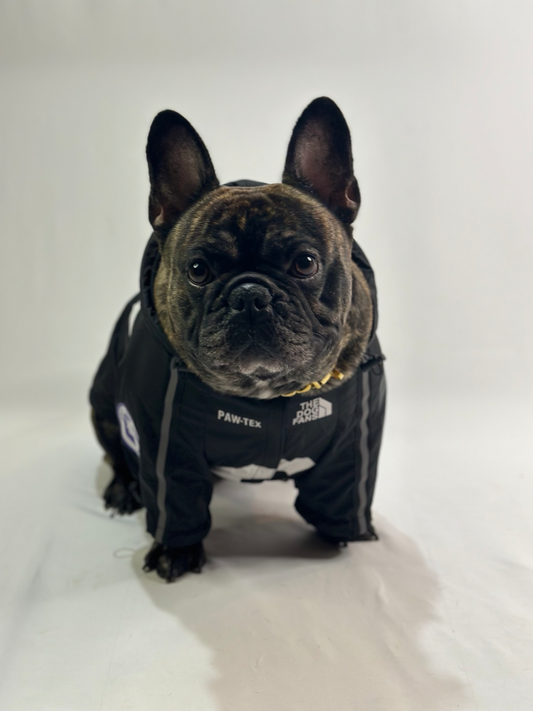 The Dog Fans/Pupreme Raincoat - Designer Inspired Dog Raincoat
